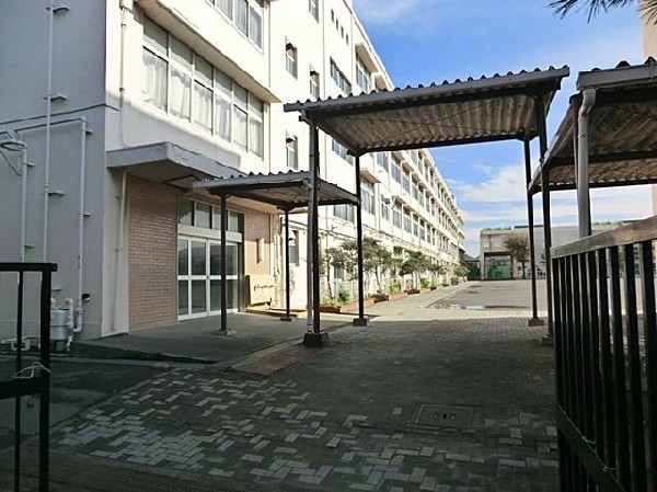 周辺環境:横浜市立新田中学校(横浜市立新田中学校まで2200m)