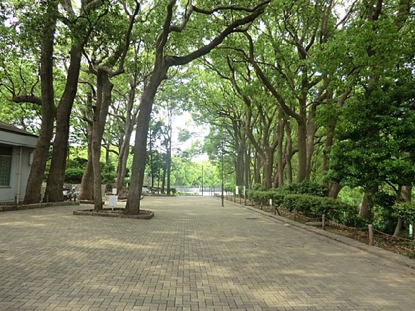 周辺環境:常盤公園