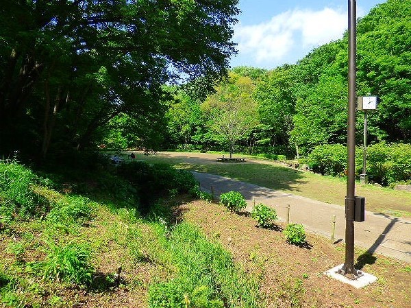 周辺環境:東高根森林公園(四季を感じる自然豊かな大規模公園。自然と触れ合う楽しさを感じよう。)