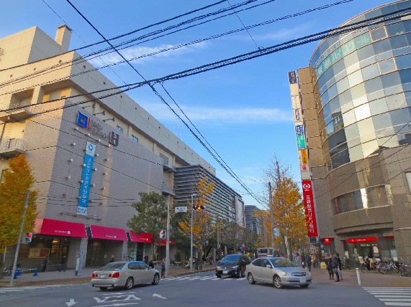 周辺環境:青葉台駅周辺(ショッピングモールや銀行、飲食店などが揃い、整備された美しい街並みです。)