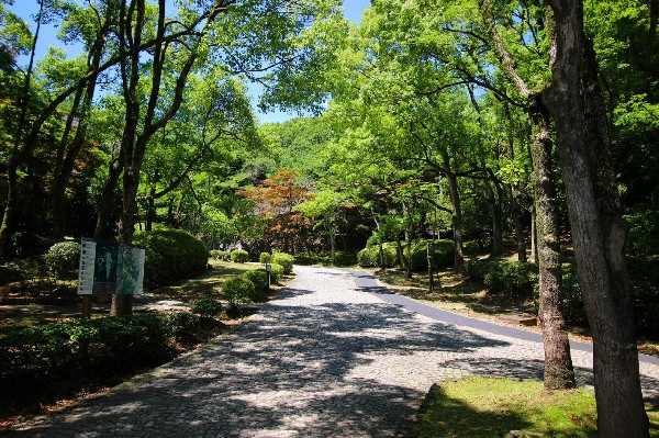 周辺環境:生田緑地　(爽やかな風が通り、豊かな自然をそのままいかした広大な緑地。広場、プラネタリウム、バラ園など、幅広い世代が楽しめるのも魅力です。 )