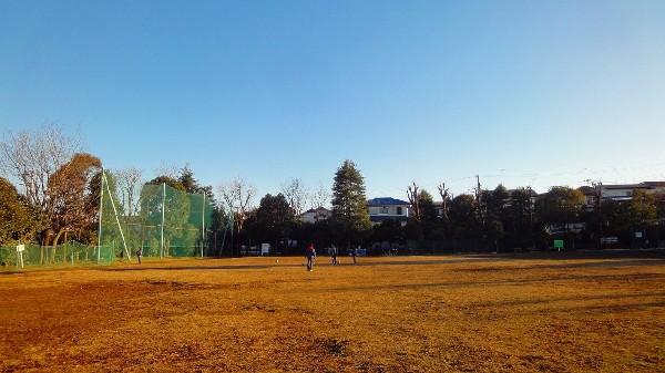 周辺環境:南生田公園(近隣には、公園もあり、青空の下で駆け回ったり、遊具で遊んだり、思い思いの遊びができます。子供たちの元気で楽しそうな声が響き渡ります。)