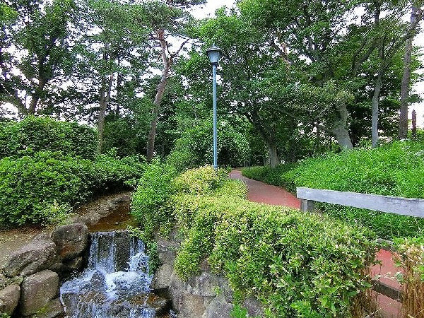 周辺環境:西河原自然公園 (樹木が立ち並び、木漏れ日を愉しめる公園。都会の騒がしさから解放される、大人も癒される落ち着きある空間が広がります。)