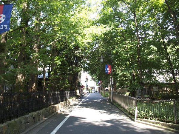 周辺環境:泉龍寺弁財天池(小田急線狛江駅北口から西へ歩くと泉龍寺に突き当たり、寺の境内の一端を通り抜ける道の左手に、鯉がたくさん泳いでいる池があります。)