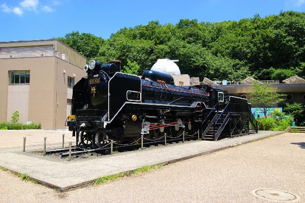 周辺環境:生田緑地(D51型蒸気機関車 通称「デゴイチ」が屋外展示されています。昭和15年に製造、30年余り活躍しました。生田緑地にやってきたのは昭和46年。)