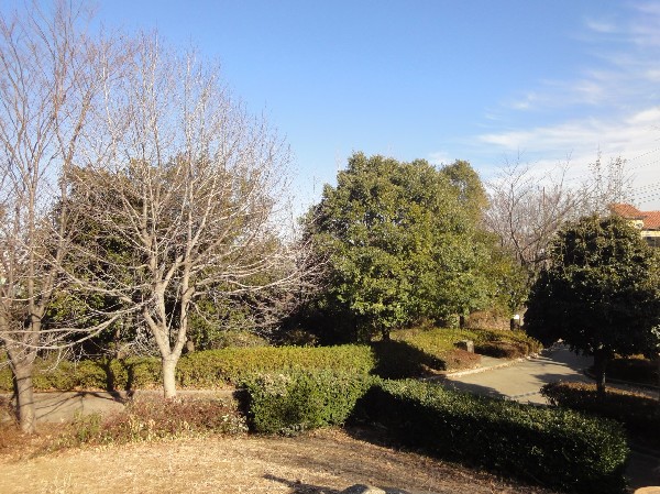 周辺環境:赤田西公園(住宅街らしく近隣には公園が複数ありますので、お子様にも嬉しい住環境です。きっと、お気に入りの公園がみつかるはずです。)