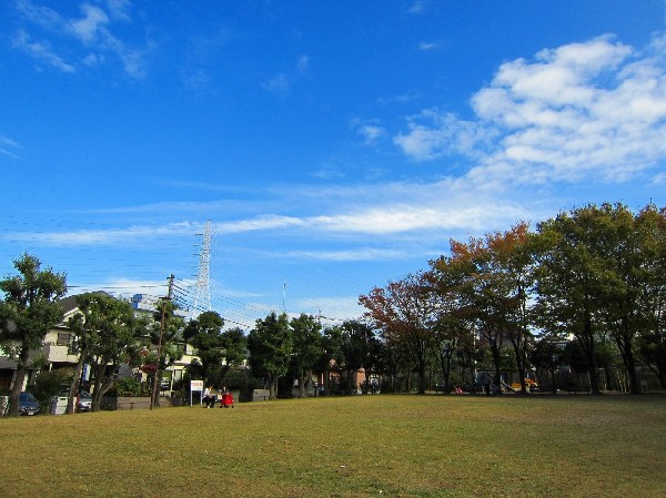 周辺環境:王禅寺公園(遊具のある広場が二か所あるほか、原っぱや公園の真中に遊歩道があります。野鳥もおり、自然にいやされます。)