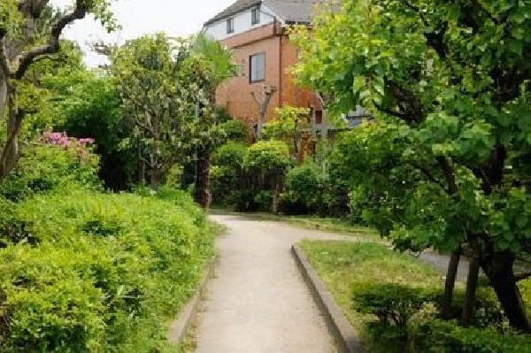 周辺環境:野川緑地公園(狛江市の小金橋から狛江市役所までの旧野川跡を整備して造られた公園。)