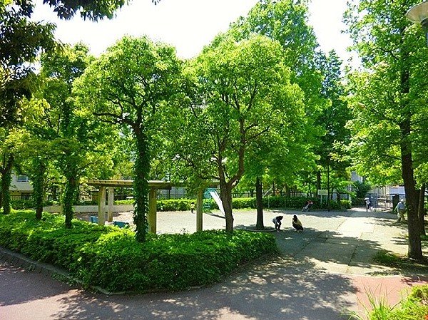 周辺環境:万福寺檜山公園(春にはお花見で賑わう公園。木漏れ日広場、遊びの広場など数種類の広場があり、すべり台や鉄棒、砂場もあります。)