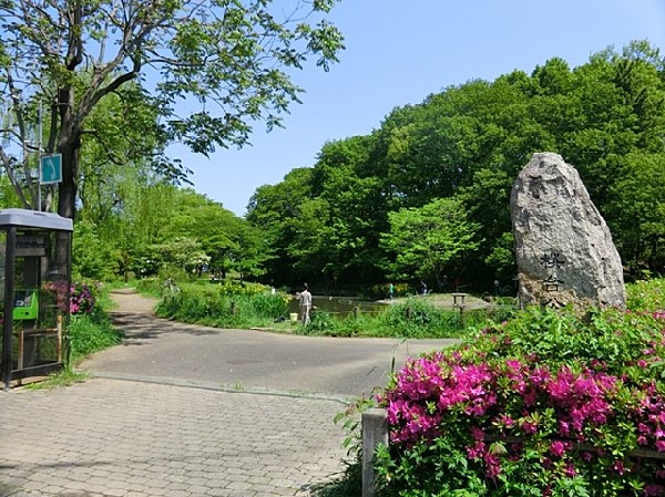 周辺環境:桜台公園(樹木が立ち並び、木漏れ日を愉しめる公園。都会の騒がしさから解放される、大人も癒される落ち着きある空間が広がります。)