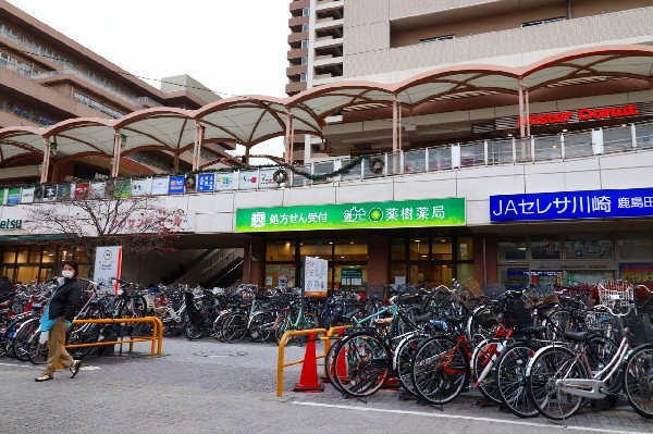 周辺環境:ルリエ新川崎(マルエツや飲食店、本屋、銀行等複合施設です。)