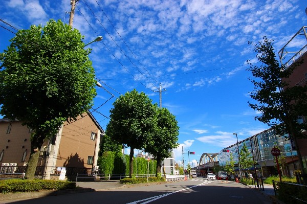 周辺環境:矢野口駅(北側並木　駅前周辺は、南武線の高架化に伴い再開発されています。少し足を延ばせば、多摩川も広がり自然も身近です。)