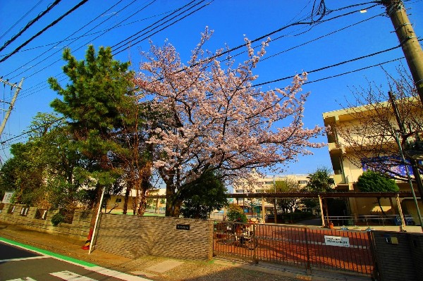 周辺環境:白幡小学校(心身ともに健康で、豊かな心情をもち、自分の言葉で語る実践力のあるたくましい子どもを育成します！)