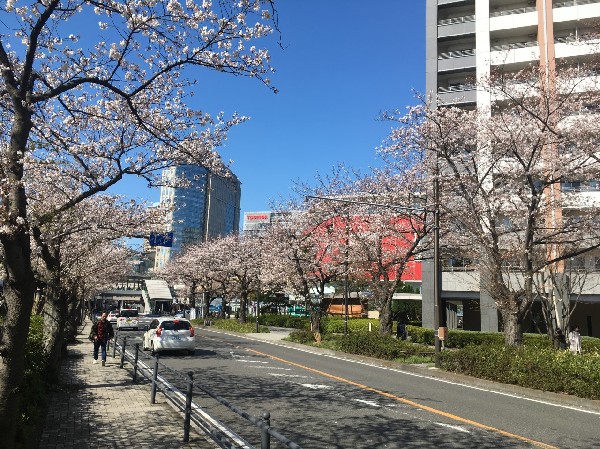 周辺環境:ラゾーナ川崎