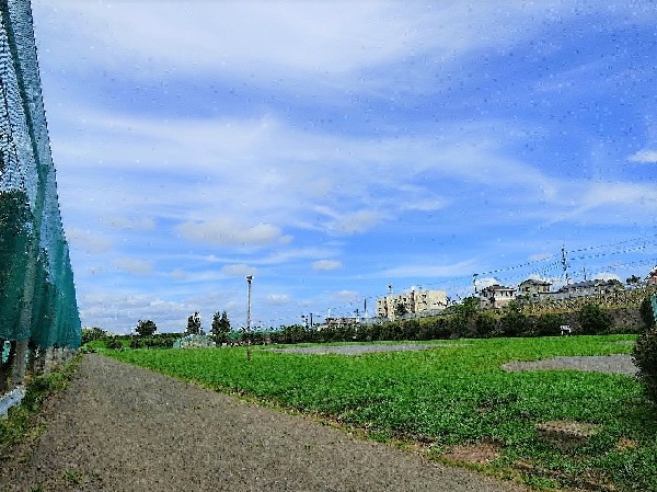 周辺環境:西長沢公園(敷地の大きい公園でメイン設備は広い芝生のグラウンドです。最近では無料駐車場が開設され利用しやすくなりました。)