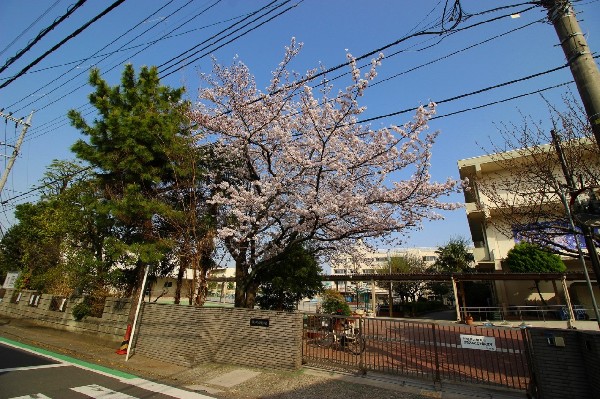 周辺環境:白幡小学校( お子様が一日の中でも長い時間を過ごす小学校。のびのびと過ごし、広い校庭で元気に駆け回ったり、どんどん成長していく姿が目に浮かびます。)