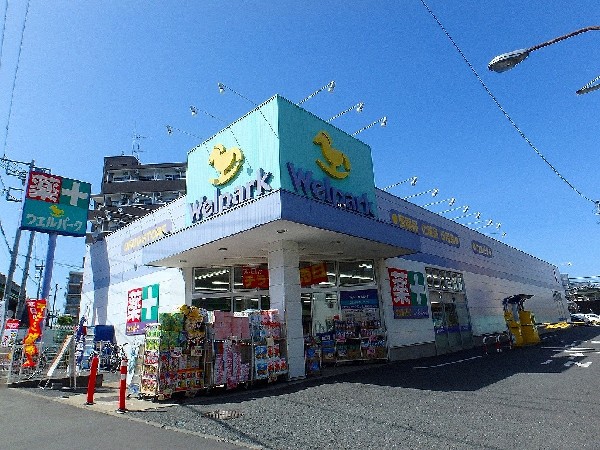 周辺環境:ウェルパーク　向ヶ丘遊園南口店(いなげやグループのドラッグストア。医薬品と調剤薬局を合わせたハイブリットストア。)