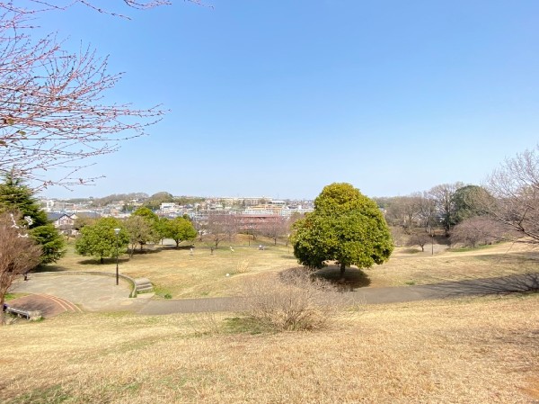 周辺環境:東山田公園(傾斜を利用した広ーい芝生の公園。子供たちは走り回りたくなること間違いなし。)