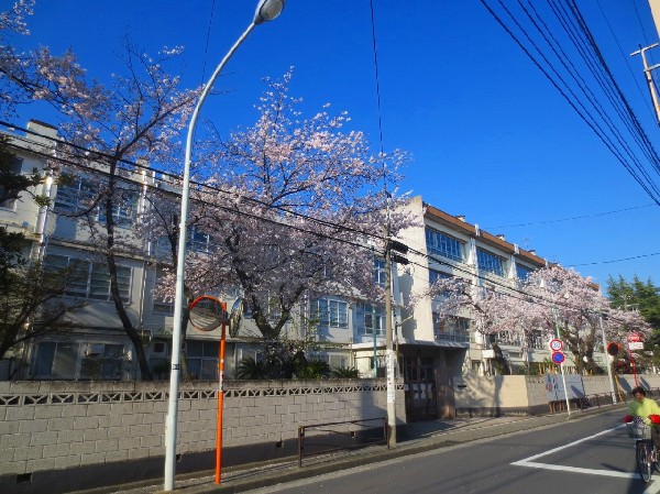 周辺環境:武蔵小杉駅(JRと東急の2社5路線が乗り入れる駅。再開発で商業や行政が充実。通勤が便利だけではなく、お洒落、快適、住みやすい、子育てしやすいなど、駅のブランドも定着。)