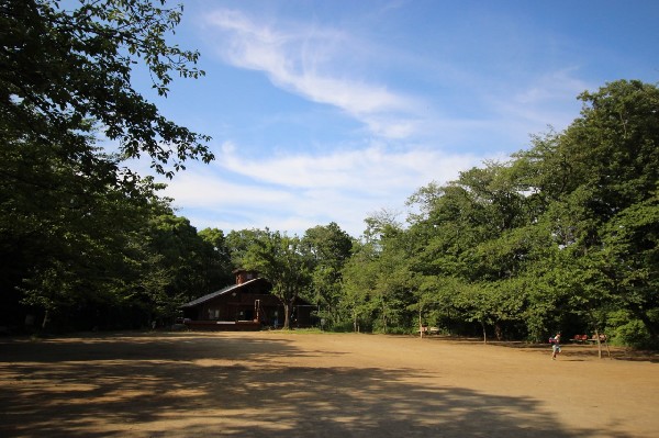 周辺環境:綱島公園(鶴見川の平野部に立地する標高30メートル程の独立丘上部に所在し、雑木林の広がる緑豊かな公園。)