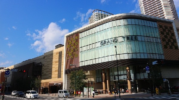 周辺環境:グランツリー武蔵小杉(お子さんが遊べる屋上庭園が整備されていたり、ベビーカーでも通行しやすいように店内通路幅も広く、子育て世代に人気のスポットです。)