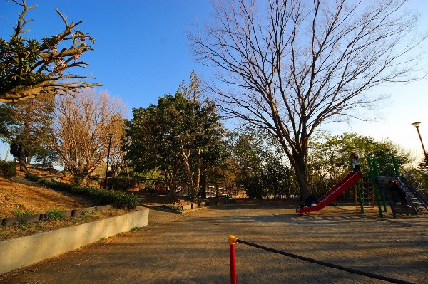 周辺環境:梅が丘第三公園(住宅街らしく近隣には公園が複数ありますので、お子様にも嬉しい住環境です。きっと、お気に入りの公園がみつかるはずです。)