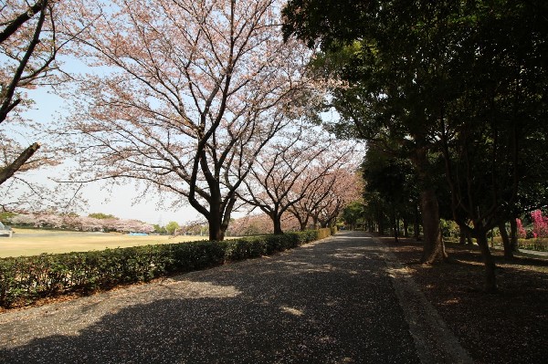 周辺環境:稲城中央公園(稲城市のほぼ中心に位置し、総合グラウンド、稲城市総合体育館、野球場等の運動施設やくじら橋があります。)