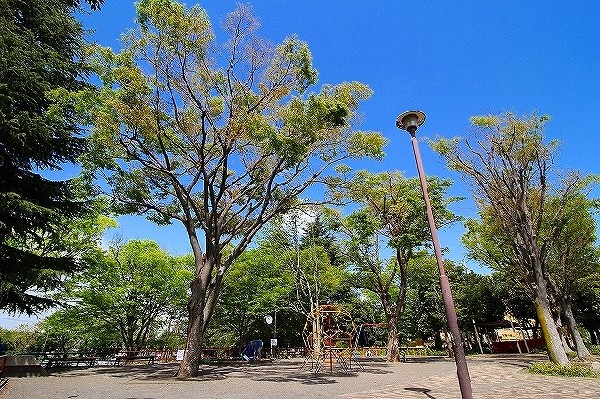 周辺環境:寺尾台第一公園(大きい広場が特徴の公園です。広々とした園内でお子様たちものびのびと遊べ、ベビーカーなどでお散歩に来られても安心。遊具も豊富です。)