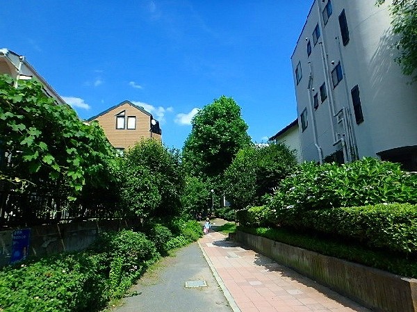 周辺環境:北谷町緑地( 広々とした芝生や遊歩道が整備されており、ウォーキングやジョギングに最適。季節ごとに変わる自然の美しさを楽しみながら、家族や友人とピクニックを楽しむのもおすすめです。)