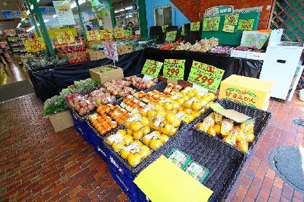 周辺環境:スーパー文化堂中丸子店( 新鮮な野菜や果物、お肉やお魚など、毎日の食卓を彩る厳選された商品が勢ぞろい！地域密着型のスーパーとして、豊富な品揃えと安心価格でご家族の暮らしをサポートします。)