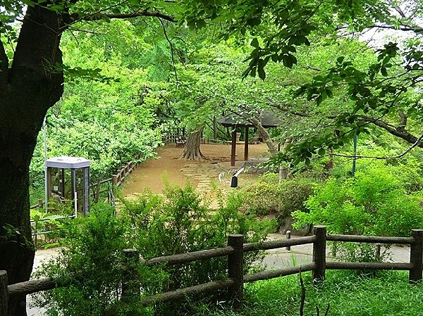 周辺環境:大倉山公園(梅林で有名な大きな公園、お休みの日にのんびりと過ごすことが出来ます。ドラマのロケ地にもなっています。)