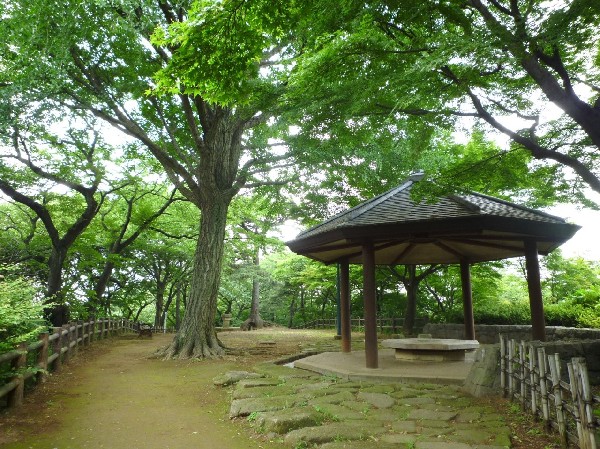 周辺環境:大倉山公園(梅林で有名な大きな公園、お休みの日にのんびりと過ごすことが出来ます。ドラマのロケ地にもなっています)