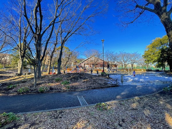 周辺環境:神大寺中央公園(片倉町駅と三ツ沢上町駅のちょうど中間あたりに位置する神大寺中央公園。滑り台や地下迷路など大型遊具がたくさん！)