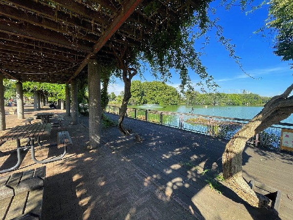 周辺環境:等々力緑地(Jリーグの試合も行われる競技場、野球場、博物館、美術館、図書館、釣り池、じゃぶじゃぶ池など多彩な施設が整備された市民憩いの場です)