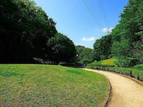 周辺環境:東高根森林公園(四季を感じる自然豊かな大規模公園。ランニングする人や、お弁当を広げてピクニックするご家族で賑わいます。)