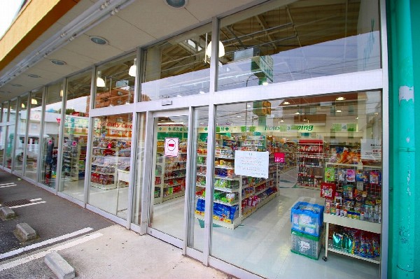 周辺環境:フィットケアデポ岸根店(店舗数が増え続けるドラッグストア業界。販売している商品もどんどん増えてきている。最近では食品も当然のように扱い、しかも価格が安い。)