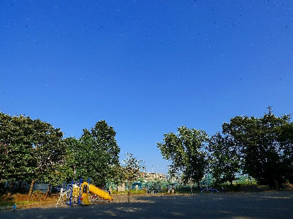 周辺環境:美しが丘西追分公園(比較的新しい住宅街の中にある公園です。すべり台が2つある複合遊具が人気！)
