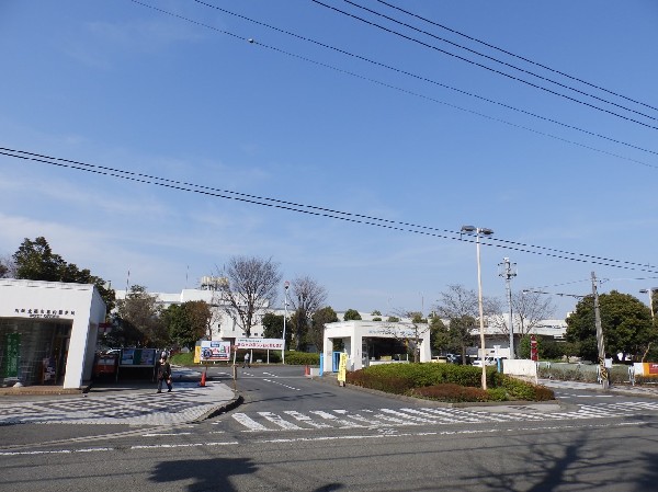周辺環境:川崎市中央卸売市場北部市場　(私たちの食生活に欠かすことの出来ない野菜や果物、魚介類などの生鮮食料品等を、安全・安心、適正な価格で安定供給している、食の流通拠点です。)