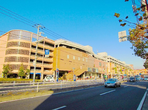 周辺環境:トレッサ横浜(トヨタが開発する首都圏初のオートモール複合施設！約220店舗の専門店で構成されたショッピングモール。)