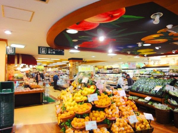 周辺環境:Odakyu OX読売ランド店 (Odakyu OXは小田急商事株式会社が展開するこだわりのスーパーマーケット。都市型スーパーマーケットとして、「上質」と「感動」をみなさまへ。)