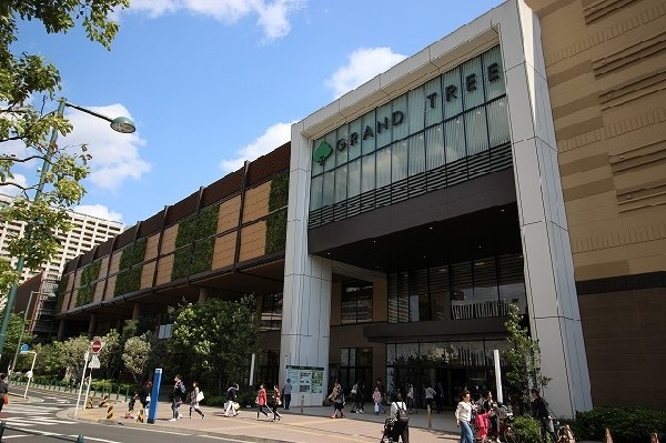 周辺環境:グランツリー武蔵小杉(再開発の一環として2014年にOPEN。小杉駅の発展と共に注目を集め、現在でもファミリー層の人気は衰えず。屋上庭園は憩いの場。)