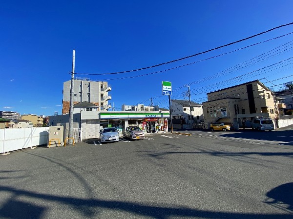 周辺環境:ファミリーマート横浜青葉新石川店(ファミチキをはじめスナックメニューも大人気です。買物だけではなく、日常生活に関係する最重要施設となりつつある。)