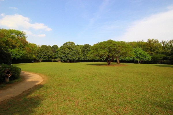 周辺環境:東高根森林公園(四季を感じる自然豊かな大規模公園。自然と触れ合う楽しさを感じよう。)