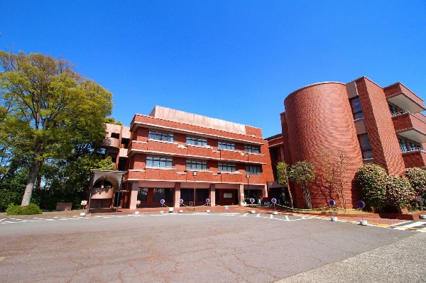 周辺環境:川崎市民プラザ(劇場、プール、体育館、トレーニングルーム、日本庭園、レストラン等、市民の為に様々な施設があります。)