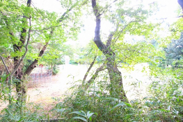 周辺環境:多摩美ふれあいの森　(自然樹木の間を多摩自然遊歩道が続いていて、その途中に市民健康の森があり、その先に多摩美ふれあいの森。広々とした緑豊かな公園です。)