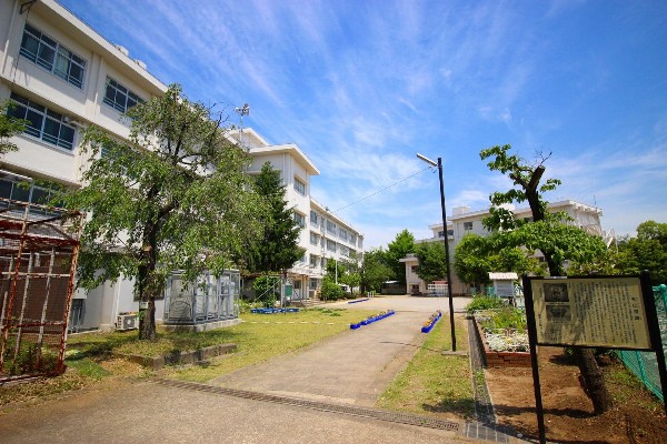 周辺環境:白幡台小学校(1972年創立の全校生徒300人弱の小学校。教育目標は豊かな人間性の備わった子どもを育成すること。)