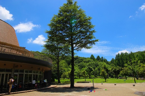 周辺環境:生田緑地　(爽やかな風が通り、豊かな自然をそのままいかした広大な緑地。広場、プラネタリウム、バラ園など、幅広い世代が楽しめるのも魅力です。)
