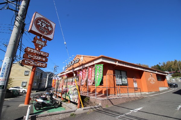 周辺環境:ステーキガスト(20種類以上のものが食べ放題、サラダ、ライス、スープ、カレー、パン、デザート、フルーツなど。)