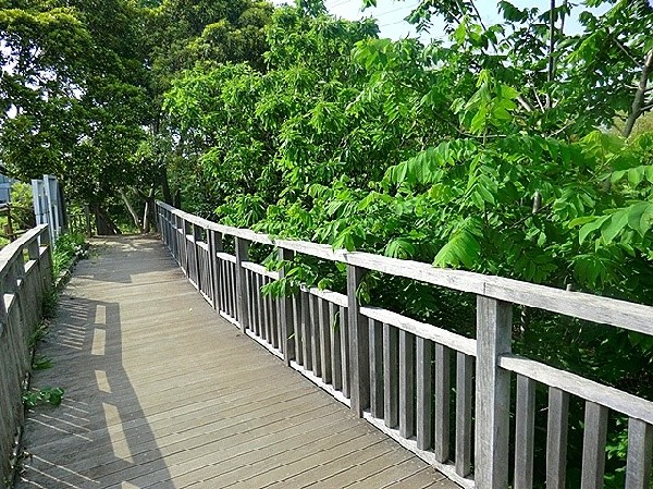 周辺環境:水沢の森・西公園(昔の里山の姿を取り戻し、野生動物や昆虫、草花などが生きられる環境づくりをして再生させようということをテーマに掲げました。)