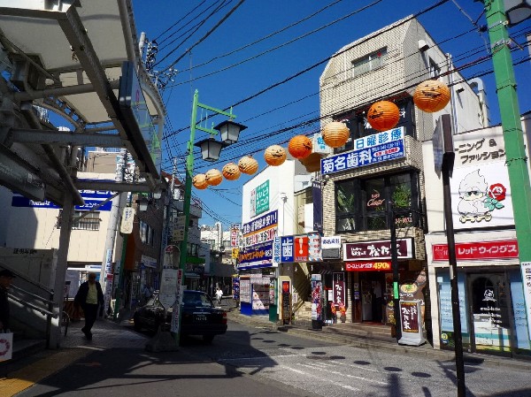 周辺環境:菊名駅　(東急東横線の特急、通勤特急、急行停車駅。ターミナル「横浜」駅へ各駅停車でも10分、新幹線停車駅「新横浜」駅へ1駅2分、という利便性の高い駅。)